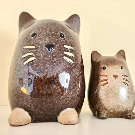 Casa Kusama Corralejo