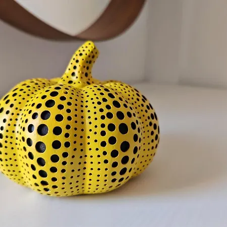 Casa Kusama